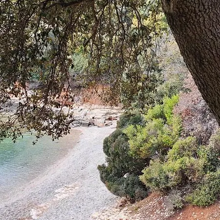 Apartament Lilly With Private Parking ,private Garden-quiet Oasis *