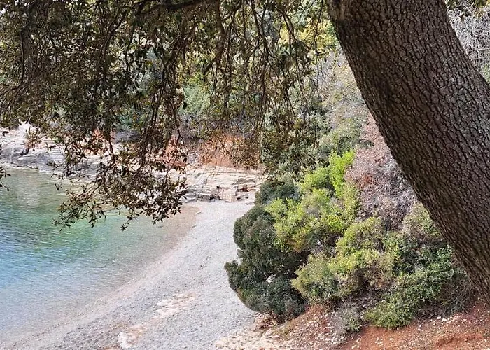 דירה Lilly With Private Parking ,private Garden-quiet Oasis *